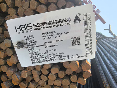 唐银HRB400E-12